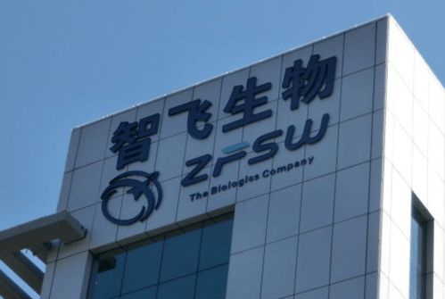 這個展區(qū),東博會首次設(shè)立